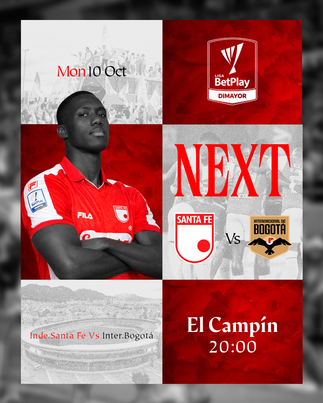 Proyecto 4